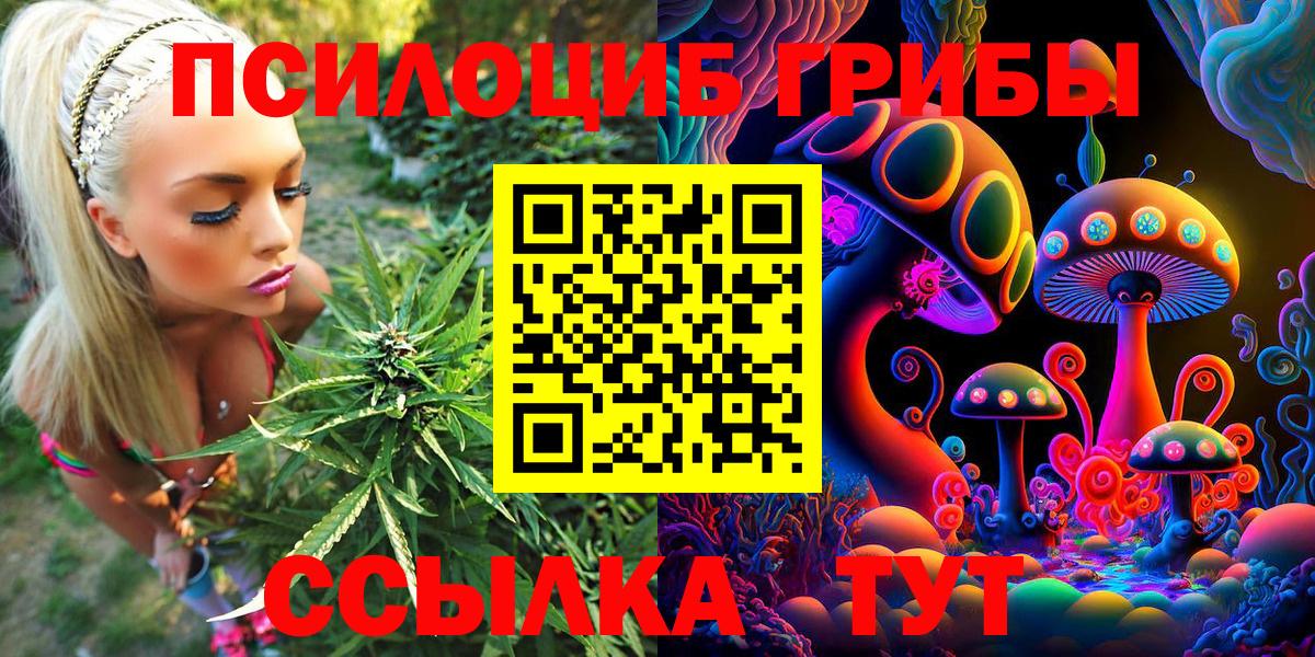 Галлюциногенные грибы прущие грибы Белая Калитва